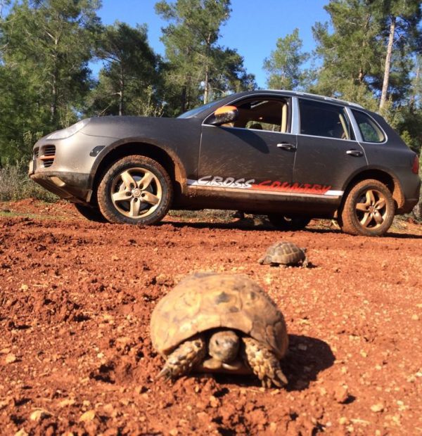 Porsche Safari Tour